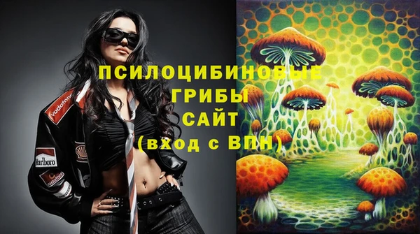 прущие грибы Зеленодольск
