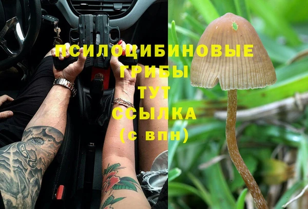 прущие грибы Зеленодольск
