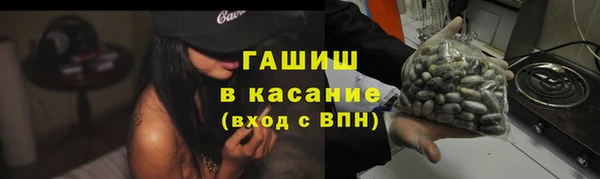 прущие грибы Зеленодольск