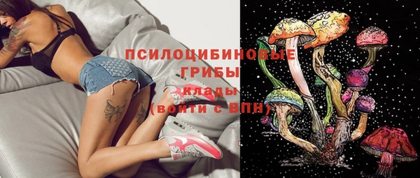 МДПВ Зеленокумск