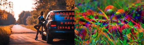МДПВ Зеленокумск