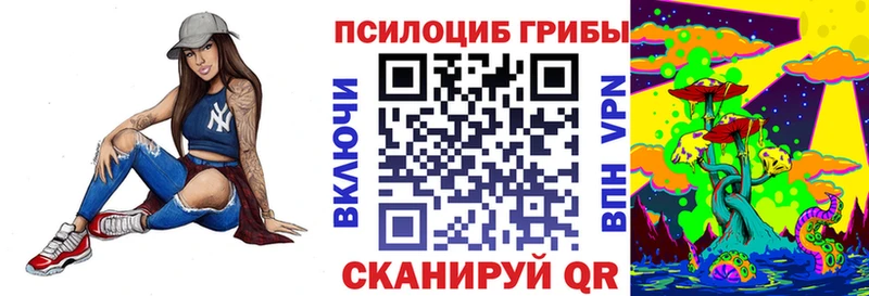 Псилоцибиновые грибы Psilocybe  наркошоп  Лагань 